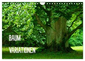 Baum-Variationen (Wandkalender 2024 DIN A4 quer), CALVENDO Monatskalender von Barig,  Joachim