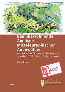 Baumbewohnende Ameisen mitteleuropäischer Auenwälder von Schuler,  Jürgen
