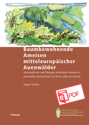 Baumbewohnende Ameisen mitteleuropäischer Auenwälder von Schuler,  Jürgen