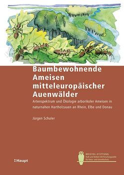 Baumbewohnende Ameisen mitteleuropäischer Auenwälder von Schuler,  Jürgen