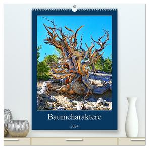 Baumcharaktere (hochwertiger Premium Wandkalender 2024 DIN A2 hoch), Kunstdruck in Hochglanz von Struve,  Andreas