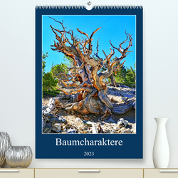 Baumcharaktere (Premium, hochwertiger DIN A2 Wandkalender 2023, Kunstdruck in Hochglanz) von Struve,  Andreas