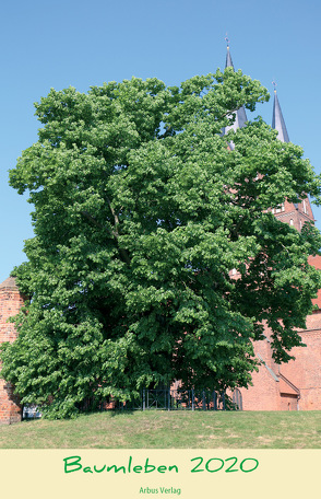 Baumleben 2020 von Peter,  Klug