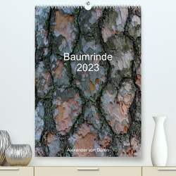Baumrinde 2023 (Premium, hochwertiger DIN A2 Wandkalender 2023, Kunstdruck in Hochglanz) von von Düren,  Alexander