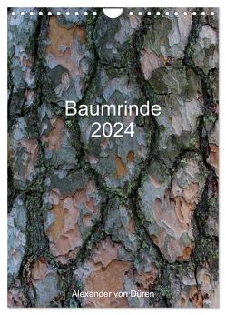 Baumrinde 2024 (Wandkalender 2024 DIN A4 hoch), CALVENDO Monatskalender von von Düren,  Alexander