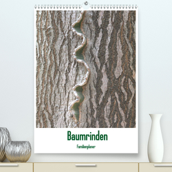 Baumrinden (Premium, hochwertiger DIN A2 Wandkalender 2023, Kunstdruck in Hochglanz) von Hegerfeld-Reckert,  Anneli