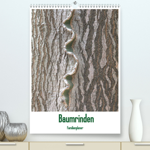 Baumrinden (Premium, hochwertiger DIN A2 Wandkalender 2023, Kunstdruck in Hochglanz) von Hegerfeld-Reckert,  Anneli