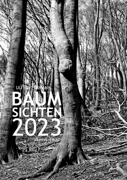 Baumsichten 2023 von Auffermann,  Uli