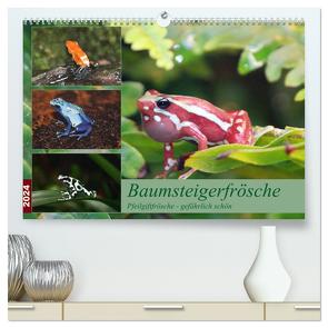 Baumsteigerfrösche. Pfeilgiftfrösche – gefährlich schön (hochwertiger Premium Wandkalender 2024 DIN A2 quer), Kunstdruck in Hochglanz von Mielewczyk,  B.