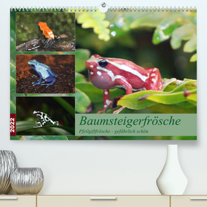 Baumsteigerfrösche. Pfeilgiftfrösche – gefährlich schön (Premium, hochwertiger DIN A2 Wandkalender 2022, Kunstdruck in Hochglanz) von Mielewczyk,  B.