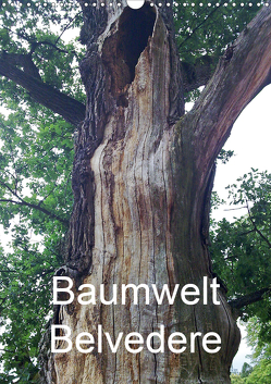 Baumwelt Belvedere (Wandkalender 2020 DIN A3 hoch) von Hufeld,  Bernd