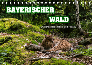 Bayerischer Wald (Tischkalender 2023 DIN A5 quer) von Thiele,  Ralf-Udo
