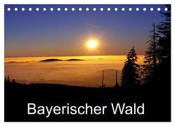 Bayerischer Wald (Tischkalender 2024 DIN A5 quer), CALVENDO Monatskalender von Matheisl,  Willy
