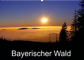 Bayerischer Wald (Wandkalender 2023 DIN A2 quer) von Matheisl,  Willy