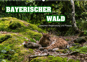 Bayerischer Wald (Wandkalender 2023 DIN A2 quer) von Thiele,  Ralf-Udo