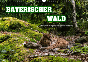 Bayerischer Wald (Wandkalender 2023 DIN A3 quer) von Thiele,  Ralf-Udo