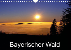 Bayerischer Wald (Wandkalender 2023 DIN A4 quer) von Matheisl,  Willy