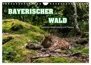 Bayerischer Wald (Wandkalender 2024 DIN A4 quer), CALVENDO Monatskalender von Thiele,  Ralf-Udo