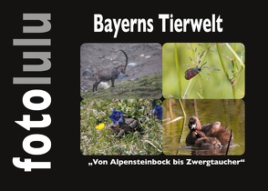 Bayerns Tierwelt von fotolulu
