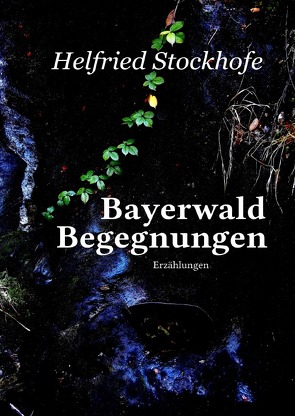 Bayerwald Begegnungen von Stockhofe,  Helfried