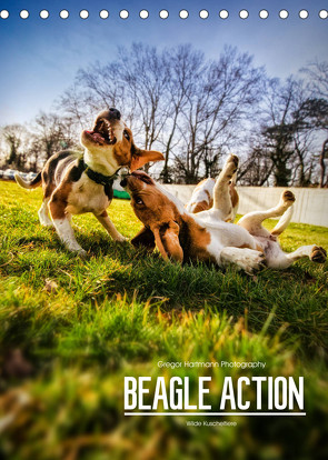Beagle Action – Wilde Kuscheltiere (Tischkalender 2023 DIN A5 hoch) von Hartmann,  Gregor