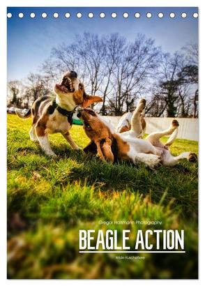 Beagle Action – Wilde Kuscheltiere (Tischkalender 2024 DIN A5 hoch), CALVENDO Monatskalender von Hartmann,  Gregor