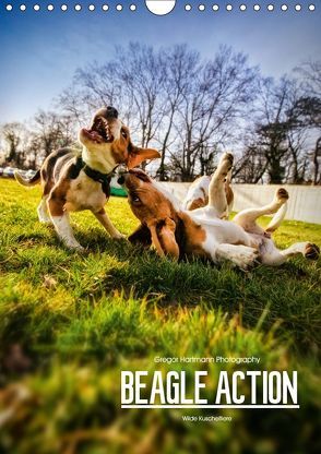 Beagle Action – Wilde Kuscheltiere (Wandkalender 2019 DIN A4 hoch) von Hartmann,  Gregor