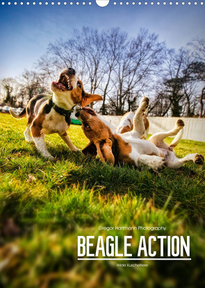 Beagle Action – Wilde Kuscheltiere (Wandkalender 2023 DIN A3 hoch) von Hartmann,  Gregor