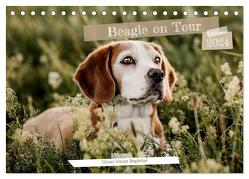 Beagle – Unser treuer Begleiter (Tischkalender 2024 DIN A5 quer), CALVENDO Monatskalender von Lea-Isabelle,  Lea-Isabelle