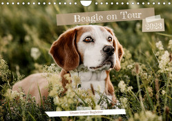 Beagle – Unser treuer Begleiter (Wandkalender 2023 DIN A4 quer) von Lea-Isabelle