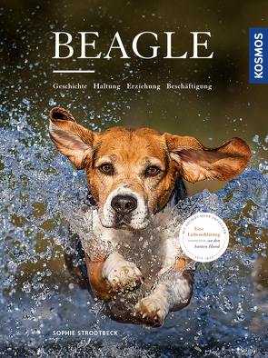 Beagle von Strodtbeck,  Sophie
