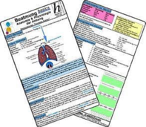Beatmung basics – Anatomie & Physiologie der Atmung – Medizinische Taschen-Karte von Schott,  David, Verlag Hawelka