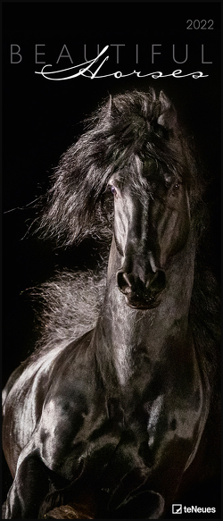 Beautiful Horses 2022 – Foto-Kalender – Wand-Kalender – 30×70