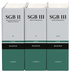 beck-online.GROSSKOMMENTAR zum SGB: SGB II / SGB III (Gagel) von Baldschun,  Katie, Banafsche,  Minou, Baum,  Sandra, Behrend,  Nicola, Bender,  Wolfgang, Bieback,  Karl-Jürgen, Brecht-Heitzmann,  Holger, Deinert,  Olaf, Düring,  Ruth, Fuchsloch,  Christine, Gagel,  Alexander, Groskreuz,  Henning, Grühn,  Corinna, Hänlein,  Andreas, Hannes,  Miriam, Hlava,  Daniel, Hölzer,  Dirk, Kallert,  Rainer, Klein,  Thomas, Knickrehm,  Sabine, Kohte,  Wolfhard, Lauterbach,  Klaus, Leopold,  Anders, Luik,  Steffen, Nebe,  Katja, Peters-Lange,  Susanne, Rolfs,  Christian, Schneil,  Matthias, Schwabe,  Julia, Stotz,  Christian, Wendtland,  Carsten, Winkler,  Ute