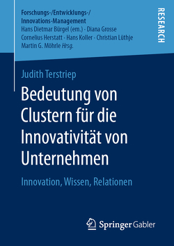 Bedeutung von Clustern für die Innovativität von Unternehmen von Terstriep,  Judith