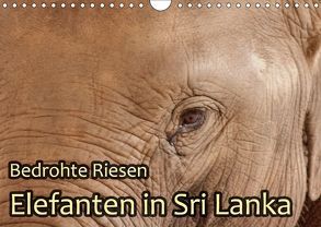 Bedrohte Riesen – Elefanten in Sri Lanka (Wandkalender 2018 DIN A4 quer) von Sobottka,  Joerg
