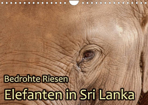 Bedrohte Riesen – Elefanten in Sri Lanka (Wandkalender 2023 DIN A4 quer) von Sobottka,  Joerg