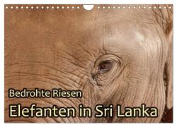 Bedrohte Riesen – Elefanten in Sri Lanka (Wandkalender 2024 DIN A4 quer), CALVENDO Monatskalender von Sobottka,  Joerg