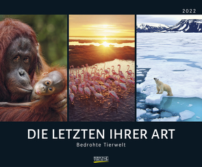 Bedrohte Tierwelt 2022 von Korsch Verlag