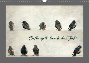 Beflügelt durch das Jahr (Wandkalender 2023 DIN A3 quer) von Hultsch,  Heike