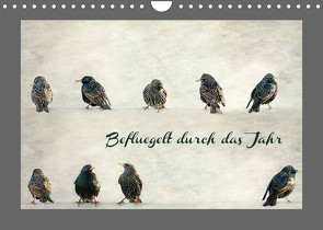 Beflügelt durch das Jahr (Wandkalender 2023 DIN A4 quer) von Hultsch,  Heike