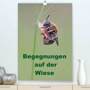 Begegnungen auf der Wiese (Premium, hochwertiger DIN A2 Wandkalender 2020, Kunstdruck in Hochglanz) von Sprenger,  Bernd