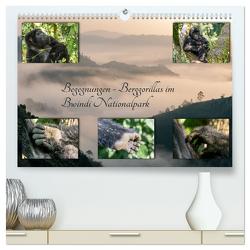 Begegnungen – Berggorillas im Bwindi Nationalpark (hochwertiger Premium Wandkalender 2024 DIN A2 quer), Kunstdruck in Hochglanz von Jorda Motzkau,  Marisa