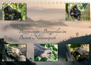 Begegnungen – Berggorillas im Bwindi Nationalpark (Tischkalender 2022 DIN A5 quer) von Jorda Motzkau,  Marisa