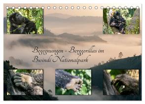 Begegnungen – Berggorillas im Bwindi Nationalpark (Tischkalender 2024 DIN A5 quer), CALVENDO Monatskalender von Jorda Motzkau,  Marisa