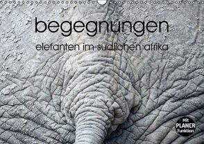 begegnungen – elefanten im südlichen afrika (Wandkalender immerwährend DIN A3 quer) von rsiemer,  k.A.