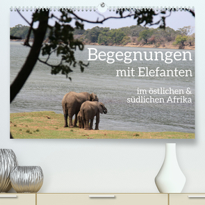 begegnungen – elefanten im südlichen afrika (hochwertiger Premium Wandkalender 2024 DIN A2 quer), Kunstdruck in Hochglanz von rsiemer,  rsiemer