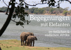 begegnungen – elefanten im südlichen afrika (Tischkalender 2024 DIN A5 quer), CALVENDO Monatskalender von rsiemer,  rsiemer