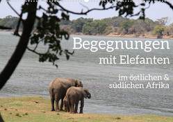 begegnungen – elefanten im südlichen afrika (Wandkalender 2024 DIN A2 quer), CALVENDO Monatskalender von rsiemer,  rsiemer