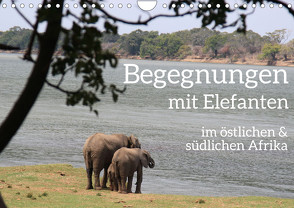 begegnungen – elefanten im südlichen afrika (Wandkalender 2024 DIN A4 quer), CALVENDO Monatskalender von rsiemer,  rsiemer